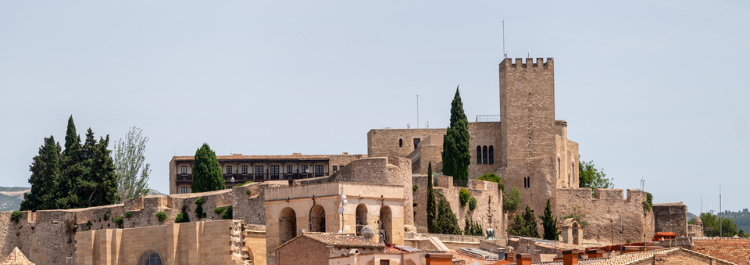 |Alt imatge central|